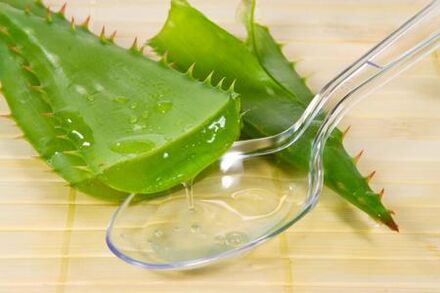 Kalanchoe sok se uporablja za zdravljenje prostatitisa